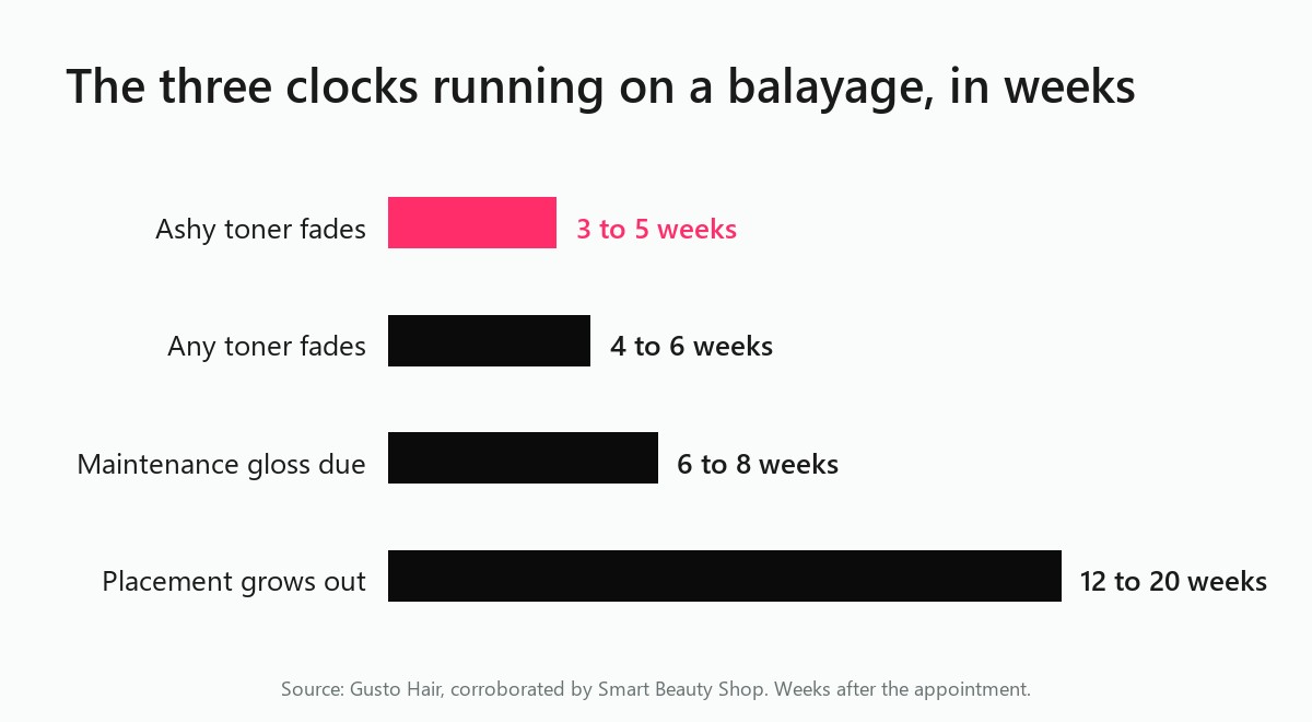 Bar chart of the three clocks running on a balayage in weeks, from an ashy toner fading at three to five weeks to the placement growing out at twelve to twenty weeks